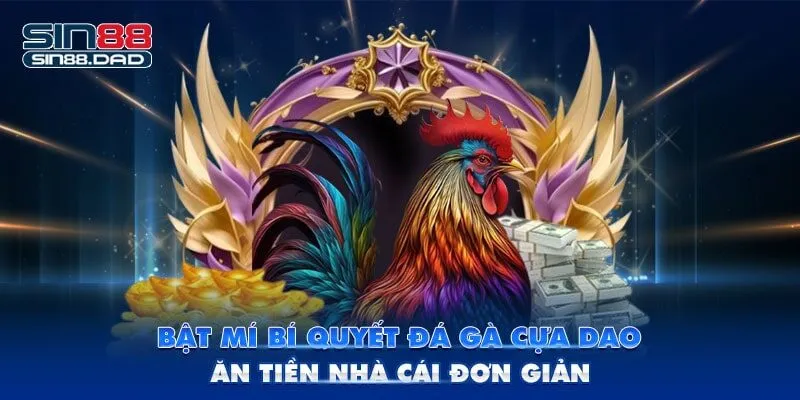 Bật Mí Bí Quyết Đá Gà Cựa Dao Ăn Tiền Nhà Cái Đơn Giản