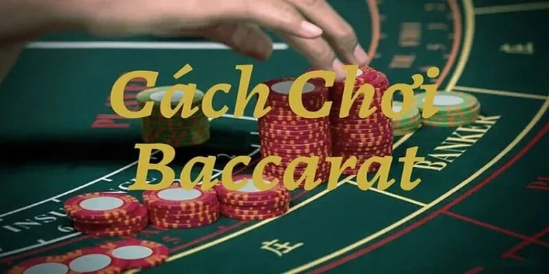 Cách chơi Baccarat cơ bản cho tân thủ