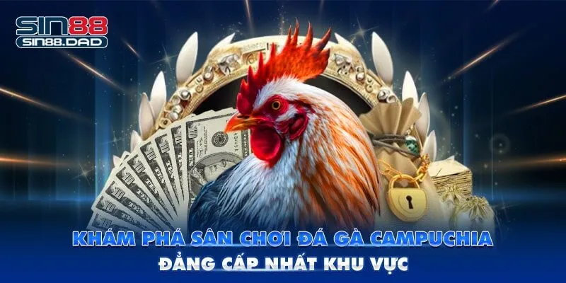 Khám Phá Sân Chơi Đá Gà Campuchia Đẳng Cấp Nhất Khu Vực