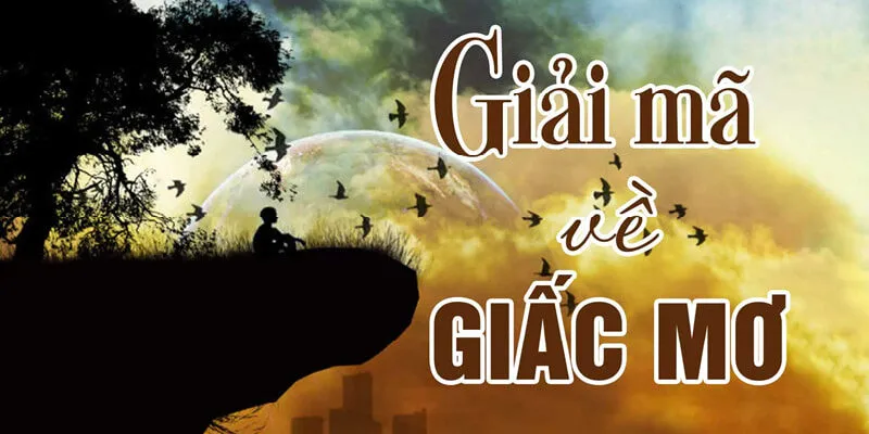 Vì sao nên giải mã giấc mơ